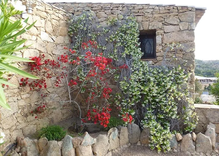 Maison Atypique Rondinara, La Combe Verte