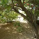 度假居 Maison Atypique Rondinara, La Combe Verte *